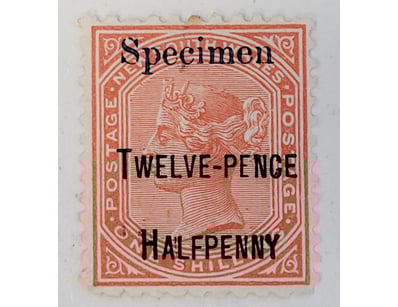 The Curio Collection (A1001) - Lot 2153