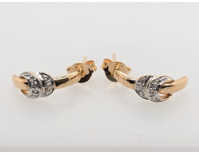 9CT YELLOW GOLD DIAMOND EARRINGS


583010+253
...
