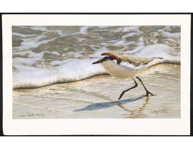 Art Market (A983) - Lot 5046