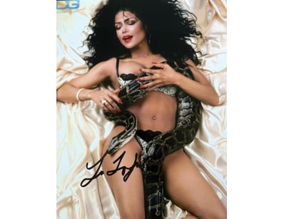 Mancave & Memorabilia (A1005) - Lot 1042