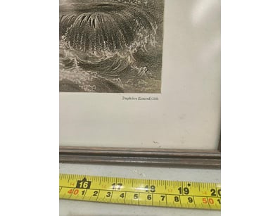 Homewares, Leisure and Decor (WAA1007) - Lot 90
