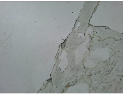 $3M Major Building Supplier - Decorative Walls &... - Lot 34