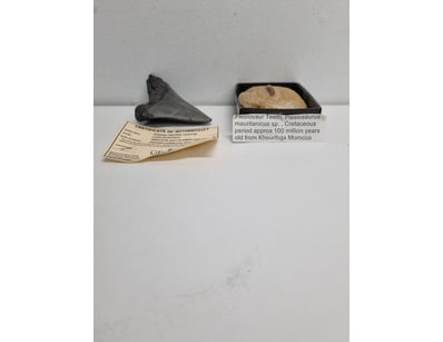 Curios & Collectables (A978) - Lot 738