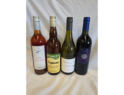 Collection of Wines including Fion Mor 750ml Merlo...