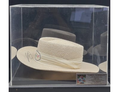 SINGLE VENDOR LIFETIME COLLECTION (A1001) - Lot 145