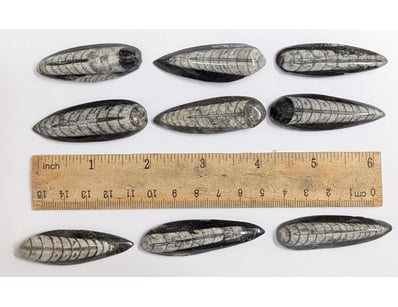 Antiques, Vintage & Interior Treasures (A998) - Lot 1515