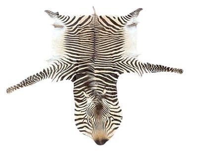 Luxury Designer (A991) - Lot 101