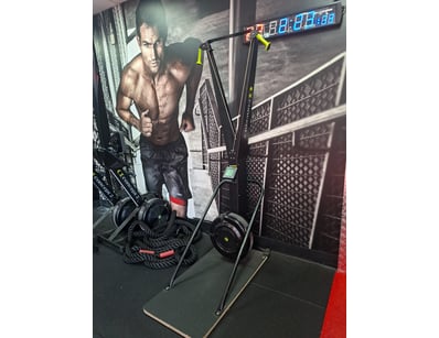 Gym Equipment Liquidation (ON11749) - Lot 52