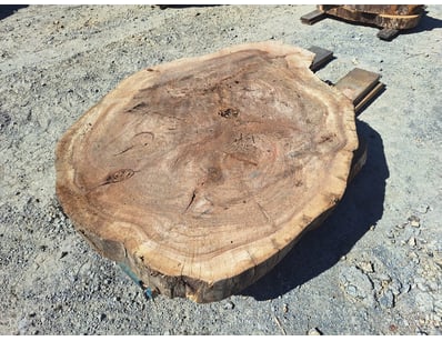 Hardwood Timber Slabs (ON4481) - Lot 20
