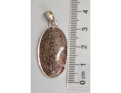 Curios & Collectables (A978) - Lot 509