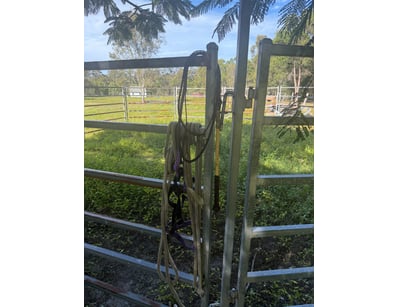 Assorted Horse Gear, including Leading Ropes, Brid...