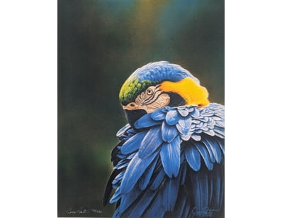 Art Market (A986) - Lot 4114