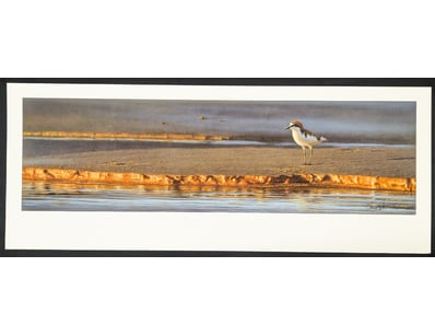 Art Market (A983) - Lot 5025