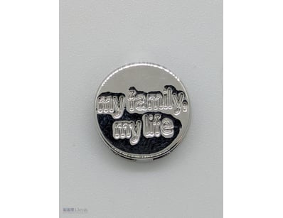 COLLECTION OF 'MY FAMILY, MY LIFE" SILVER COLOURED...