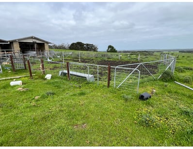 Dairy Farm Equipment Bankrupt Estate (ON11676) - Lot 50