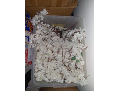 Lot comprises two clear plastic storage containers...