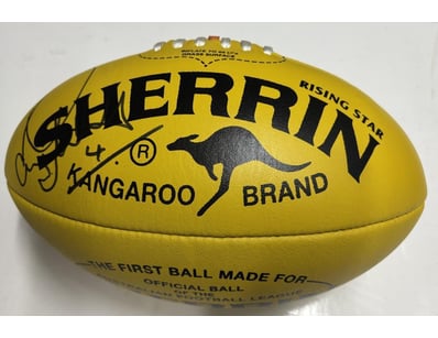 Mancave & Memorabilia (A1005) - Lot 200