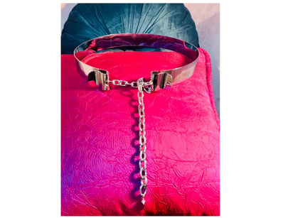 SASS & BIDE RRP: $280 
“COAT OF ARMS" BELT FROM T...