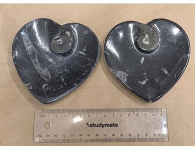 The Curio Collection (A985) - Lot 1120