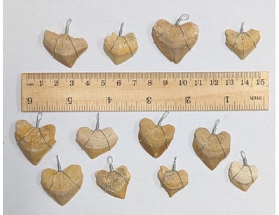 The Curio Collection (A991) - Lot 519