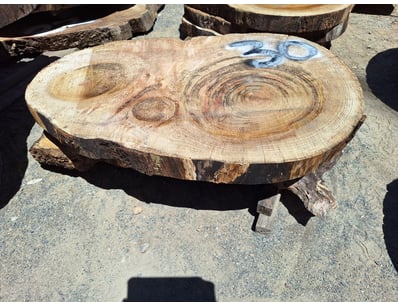 Hardwood Timber Slabs (ON4481) - Lot 31
