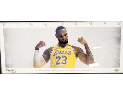 Mancave & Memorabilia (A1005) - Lot 1630