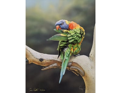 Art Market (A986) - Lot 4104