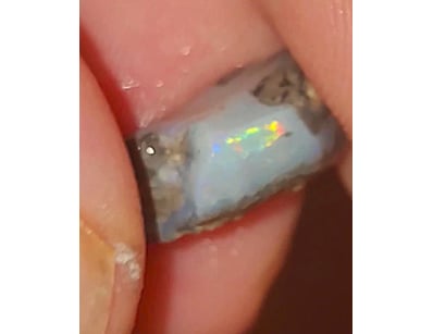 Opal Grandeur (A977) - Lot 7025