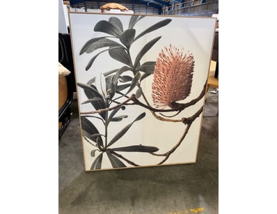 Framed botanical illustration featuring a detailed...