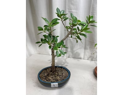 House & Homewares (A91001) - Lot 1375