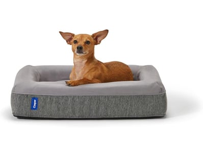 Kitchen Appliances, Toys & Tech (VICA984) - Lot 215