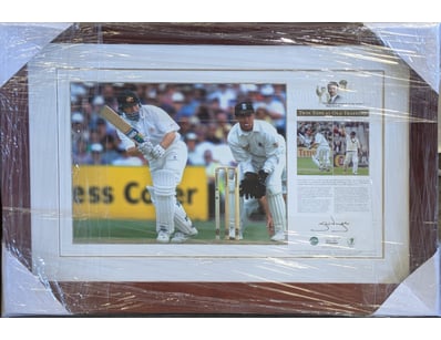 Mancave & Memorabilia (A1005) - Lot 218