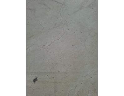 $3M Major Building Supplier - Decorative Walls &... - Lot 24