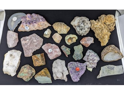 The Curio Collection (A999) - Lot 503