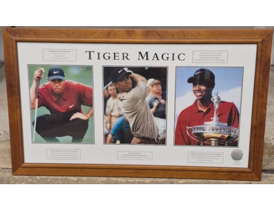 Mancave & Memorabilia (A995) - Lot 701