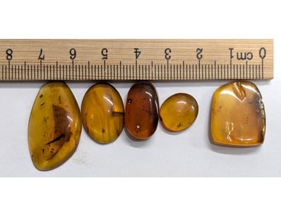 Antiques, Vintage & Interior Treasures (A1006) - Lot 9013