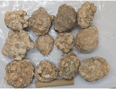 The Curio Collection (A999) - Lot 590