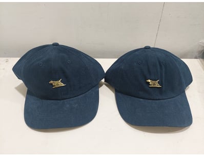 Sport, Leisure & Lifestyle (NSWA980) - Lot 2073