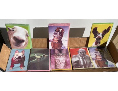 Sport, Leisure & Lifestyle (SAA982) - Lot 4176