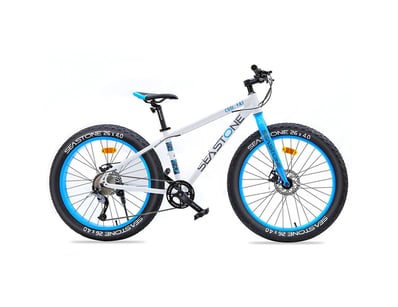 Sport, Leisure & Lifestyle (SAA1005) - Lot 4001