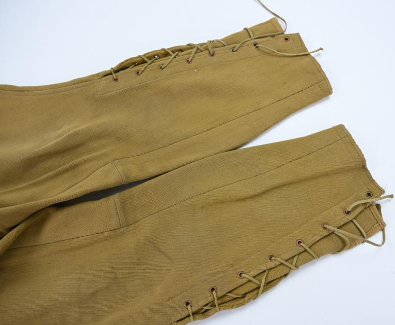 German NSDAP Leader Service Breeches