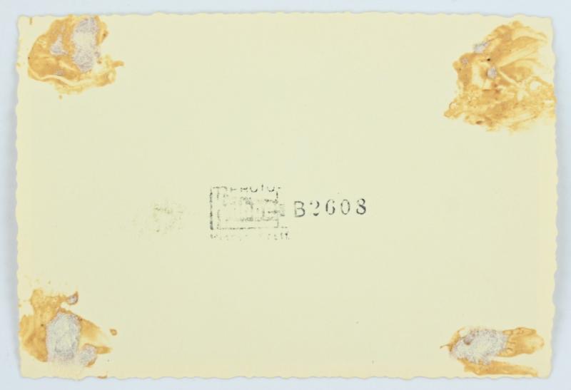 German LW FSj Picture