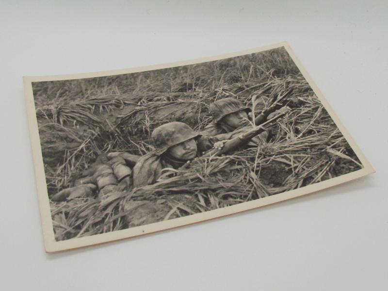 Postcard : Unsere Waffen-SS