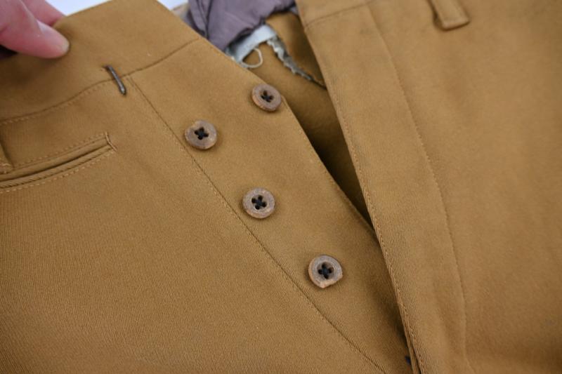 German NSDAP Political Breeches