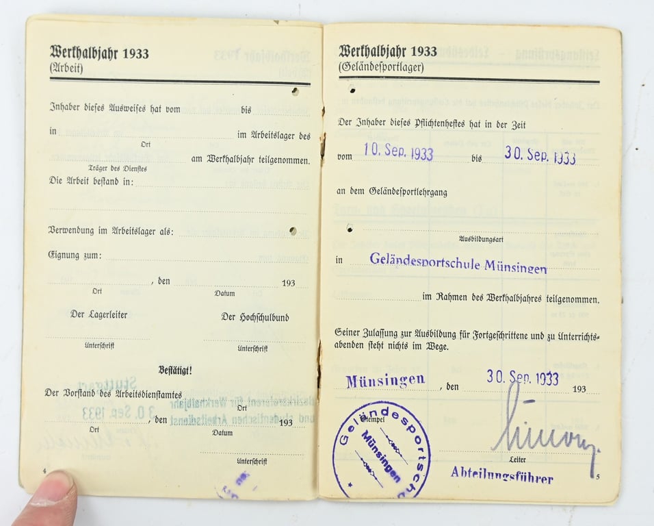 German RAD Pflichtenheft 1933 Memberpass