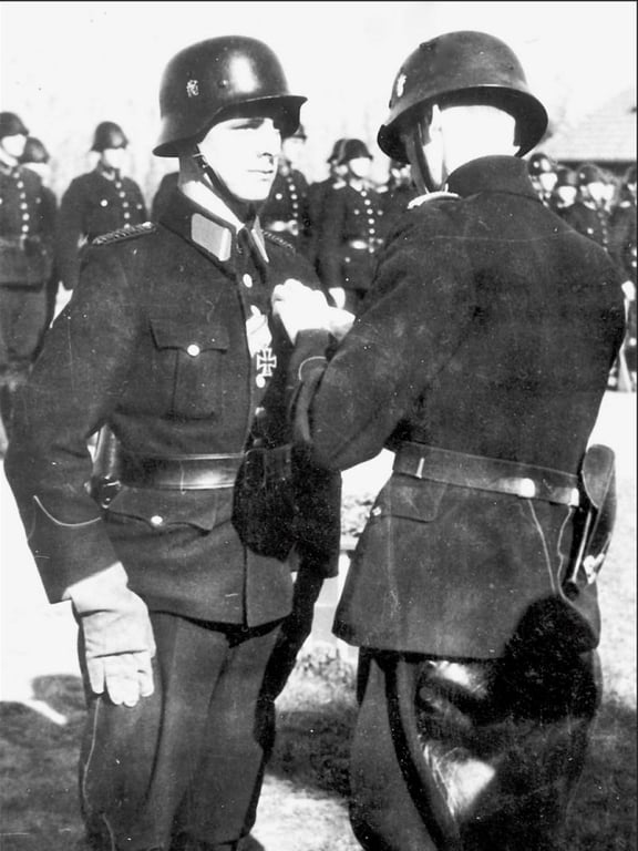 Landstorm/Schalkhaar DD M40 Helmet