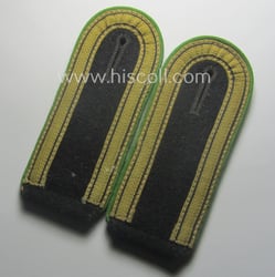 Superb pair of - fully matching! - Waffen-SS...