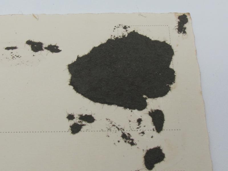 Postcard : Portrait Photo  "Reichskanzler ADOLF HITLER"