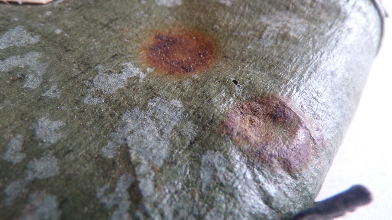 Gasplane mit Tasche / Gascape with pouch