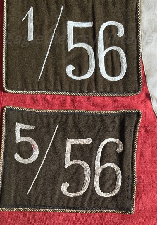 SA Sturm Flag 5 patches complete with Pole & Topper A Very Early Flag
